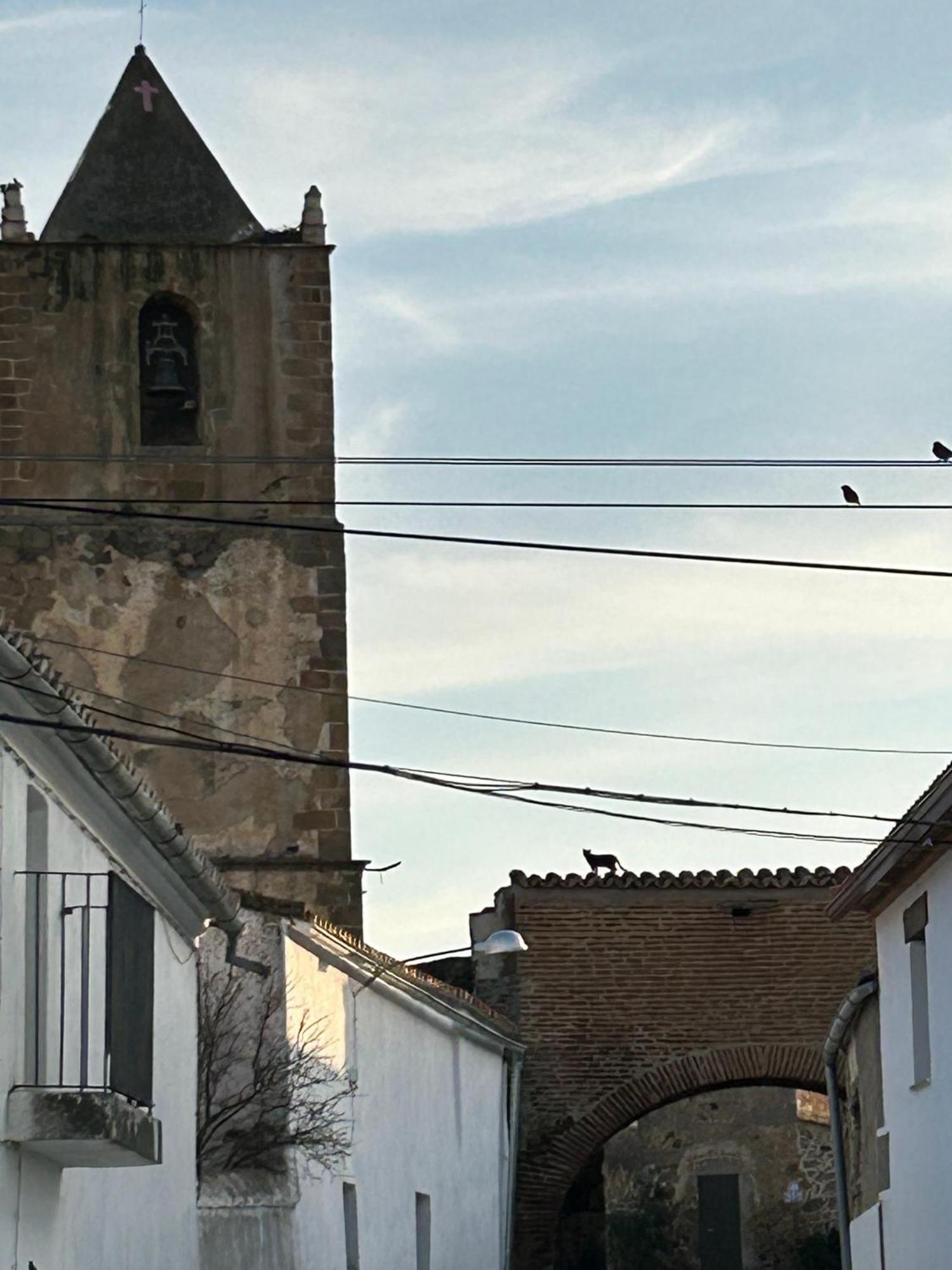 Casa Rural La Manzanilla Salvatierra de Santiago 外观 照片