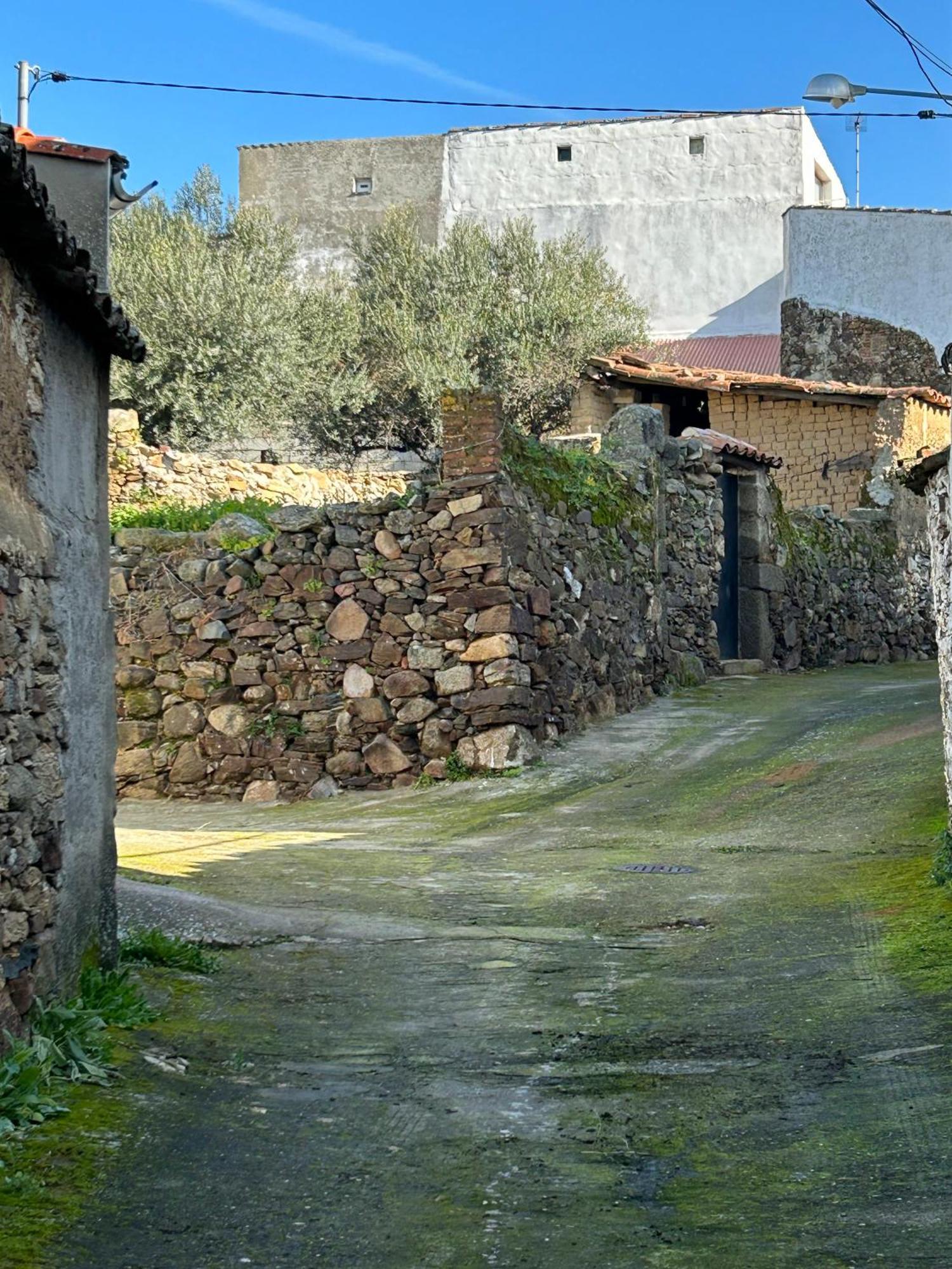 Casa Rural La Manzanilla Salvatierra de Santiago 外观 照片