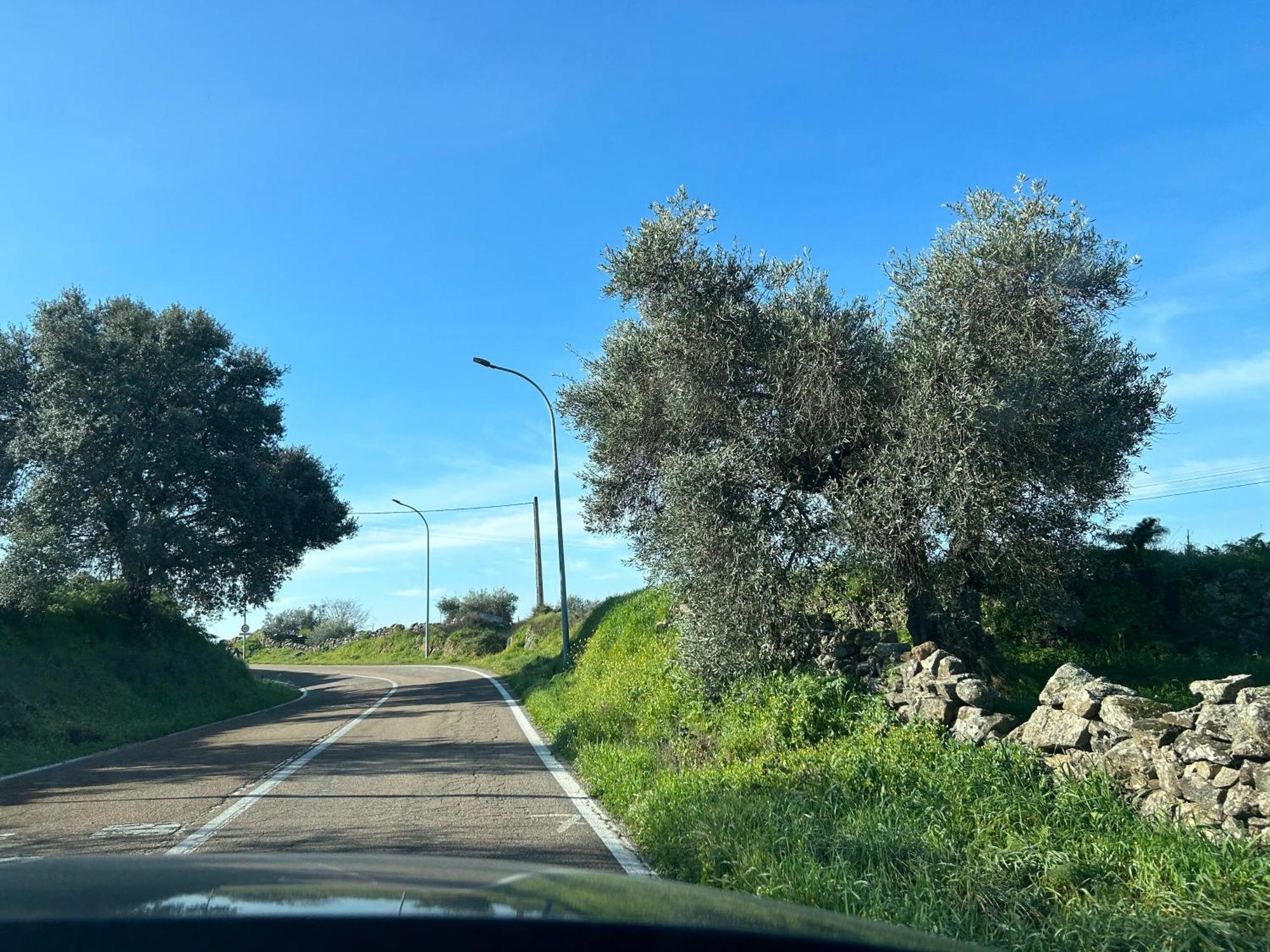 Casa Rural La Manzanilla Salvatierra de Santiago 外观 照片